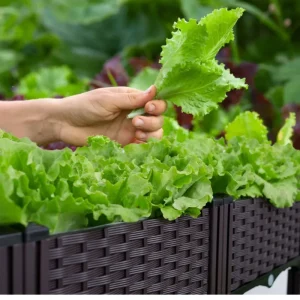 Jardin en carré plastique