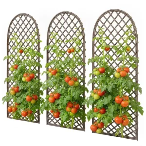 support tomates en osier