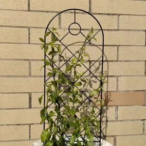 panneau pour jardin plante grimpante