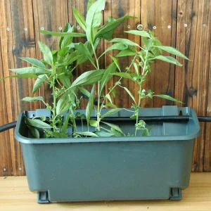jardinière extérieure vert olive